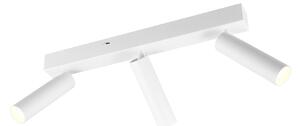 Trio Lighting Ambala LED spot de plafon, 3 becuri, alb, metal, CCT, dimabil, reglabil, Alb, Camera de zi / sufragerie, Metal, Modern