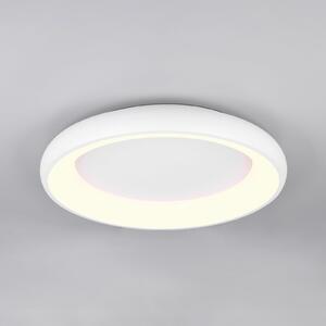 Trio Lighting Plafonieră LED Cardona, Ø 62 cm, alb mat, metal, CCT, reglabil, Alb, Camera de zi / sufragerie, Metal, Modern