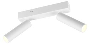 Trio Lighting Spot LED pentru tavan Ambala, 2 becuri, alb, metal, CCT, dimabil, reglabil, Alb, Camera de zi / sufragerie, Metal, Modern