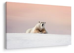 Tablou - Urs polar (90x60 cm)