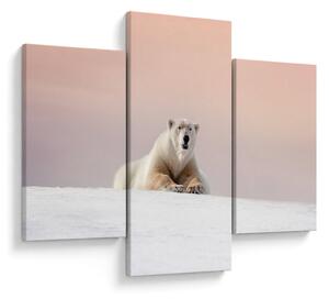 Tablou - Urs polar (90x60 cm)
