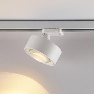 Molto Luce LED reflector trifazat Mag, alb, 827, reglabil, Alb, Studiu / Birou, Aluminiu, Modern