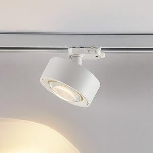Molto Luce LED reflector trifazat Mag, alb, 830, reglabil, Alb, Studiu / Birou, Aluminiu, Modern