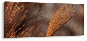 Tablou - Cortaderie (120x50 cm)