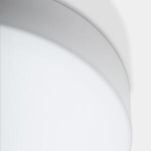 LEDS-C4 Plafonieră LED Spark Single, DALI, sticlă, negru, reglabil, Alb, Camera de zi / sufragerie, Sticlă
