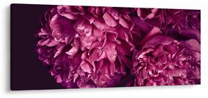 Tablou - Floarea bujorului (120x50 cm)