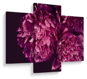Tablou - Floarea bujorului (90x60 cm)