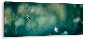 Tablou - Detaliu iarbă (120x50 cm)
