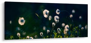 Tablou - Iarbă (120x50 cm)