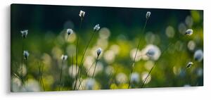 Tablou - Iarbă (120x50 cm)