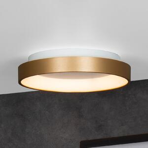 Lucide Plafonieră Vidal LED, auriu, Ø 28 cm, dimabil, acrilic, reglabil, Auriu / Alamă, Camera de zi / sufragerie, Plastic