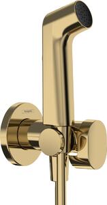 Hansgrohe Bidette baterie bideu cu set de duș ascuns auriu 29232990