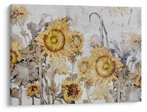 Tablou - Floarea-soarelui pe perete (70x50 cm)
