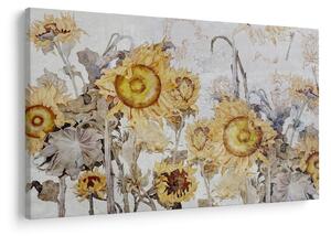 Tablou - Floarea-soarelui pe perete (90x60 cm)