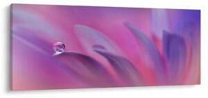 Tablou - Picătură pe floare (120x50 cm)