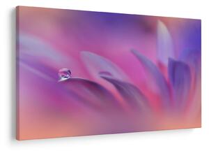 Tablou - Picătură pe floare (90x60 cm)