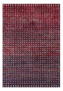 Covor Royal cherry red/navy 160x230 cm