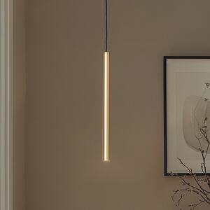 Argon Lampă suspendată LED Rulo, auriu, Ø 3,2 cm, oțel, 3000 K, Auriu / Alamă, Camera de zi / sufragerie, Metal