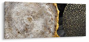 Tablou - Trunchiul copacului colaj 2 (120x50 cm)