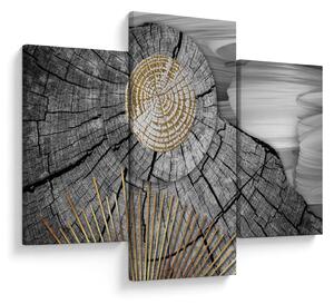 Tablou - Trunchiul copacului colaj (90x60 cm)