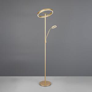 Trio Lighting Willis Lampadar LED, auriu, înălțime 180 cm, metal, CCT, dimabil, reglabil, Auriu / Alamă, Camera de zi / sufragerie, Metal, Modern, Lumină de lectură
