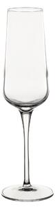 Pahare de șampanie Gusto 6buc. 240ml