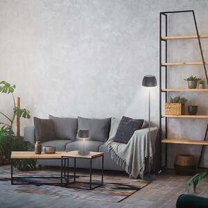 Briloner Lampadar LED cu baterie Brilo unplugged Riffle, antracit, reglabil, Gri, Camera de zi / sufragerie, Metal