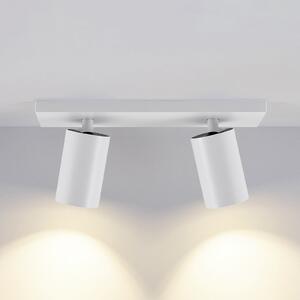 Deko-Light Spot de plafon CAN TILT, alb, 31 x 9 cm, 2 becuri, metal GU10, reglabil, Alb, Camera de zi / sufragerie, Aluminiu, Plafon semicircular cu spațiere