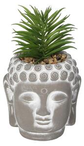 Decorațiune Buddha Suculentă I 17cm