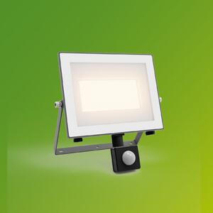 Philips Spot exterior cu LED Lois UE Senzor, 24 W, 3.000 K IP65, Gri, Aluminiu