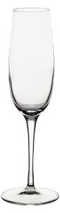 Pahare de șampanie Plzazzo 6 buc. 235ml