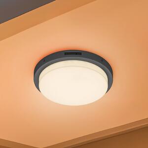 Trio Lighting Aplică LED pentru exterior Bermejo, rotundă, senzor, CCT, antracit, Gri, Metal