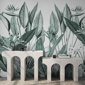 Fototapet Frunziș tropical în verde armonios, Fototapet jungle, Fototapet populare, u96833v3 - Tapeko.ro