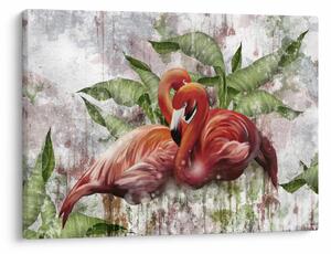 Tablou - Flamingo (70x50 cm)