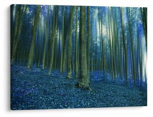 Tablou - Pădure albastră (70x50 cm)