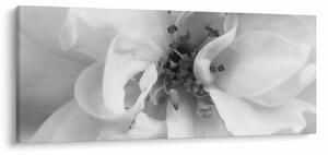 Tablou - Floare,alb-negru (120x50 cm)