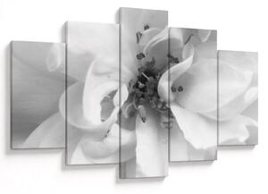 Tablou - Floare,alb-negru (150x105 cm)