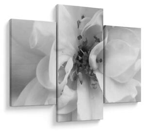 Tablou - Floare,alb-negru (90x60 cm)