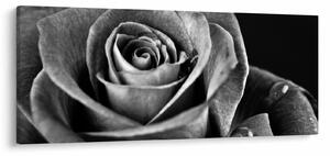 Tablou - Trandafir,alb-negru (120x50 cm)