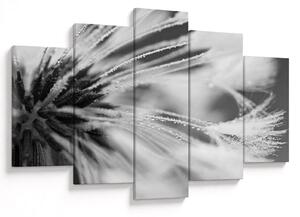 Tablou - Macro,alb-negru (150x105 cm)
