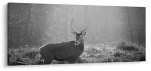 Tablou - Căprioare in pădure,alb-negru (120x50 cm)