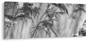 Tablou - Tei,alb-negru (120x50 cm)