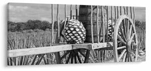 Tablou - Remorcă,alb-negru (120x50 cm)