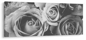 Tablou - Trandafir,alb-negru (120x50 cm)