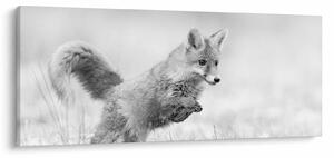 Tablou - Vulpe care sare,alb-negru (120x50 cm)