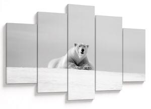 Tablou - Urs polar,alb-negru (150x105 cm)