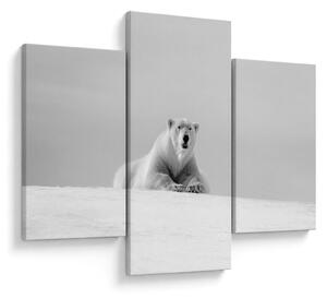 Tablou - Urs polar,alb-negru (90x60 cm)