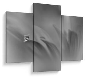 Tablou - Picătură pe floare,alb-negru (90x60 cm)