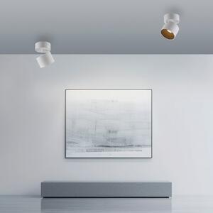 PURE Spot de tavan LED Cup, alb, Ø 9,5 cm, metal, reglabil, Alb, Camera de zi / sufragerie, Metal, Modern