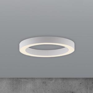 PURE Plafonieră LED Lines, Ø 35 cm, alb, CCT, reglabil, Alb, Camera de zi / sufragerie, Metal, Modern